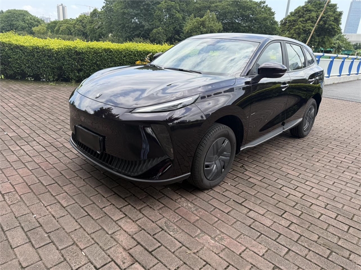 DONGFENG FORTHING X5 2025 model, front-wheel drive, 5 seats, pure electric, factory custom edition