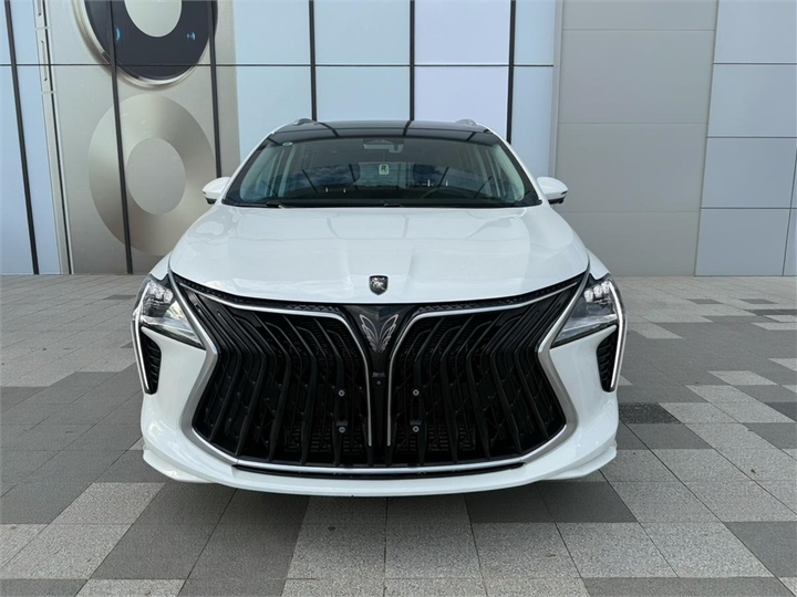 DONGFENG FORTHING Yacht 2024 Model 1.5T DCT Coastal Edition 2