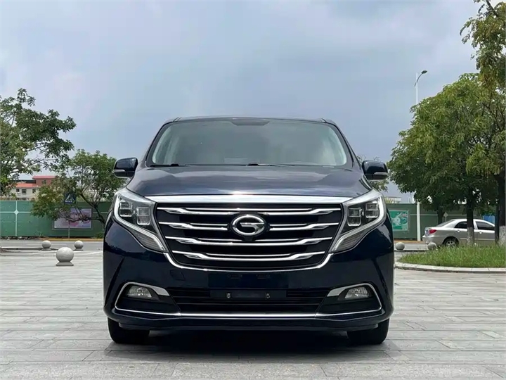 Trumpchi M8 2018 320T Premium Edition 2