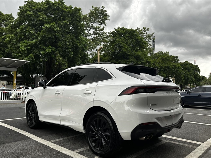 DONGFENG FORTHING T5 EVO 2021 model 1.5TD DCT Star-Rise Edition 3