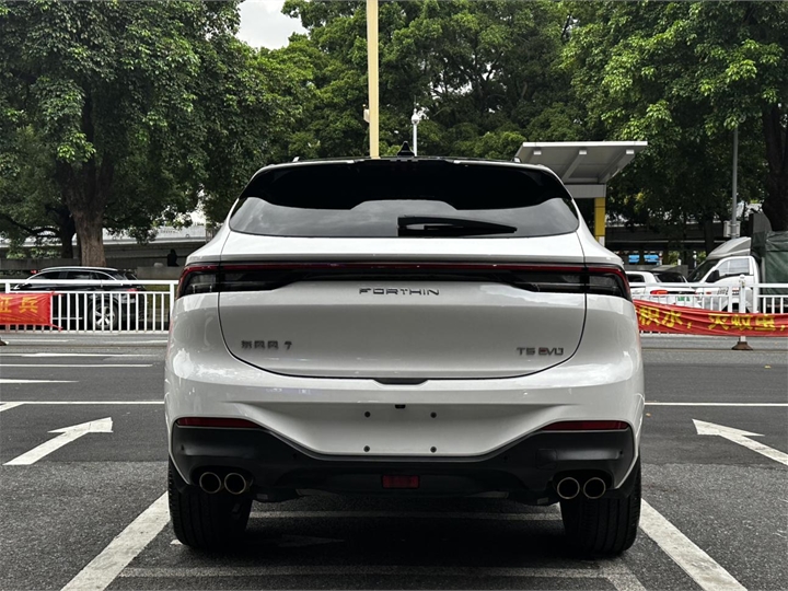 DONGFENG FORTHING T5 EVO 2021 model 1.5TD DCT Star-Rise Edition 4
