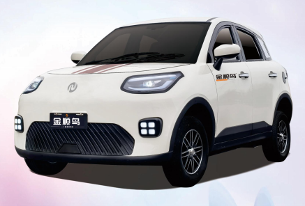 Golden Bird is a low-speed electric vehicle factory 5
