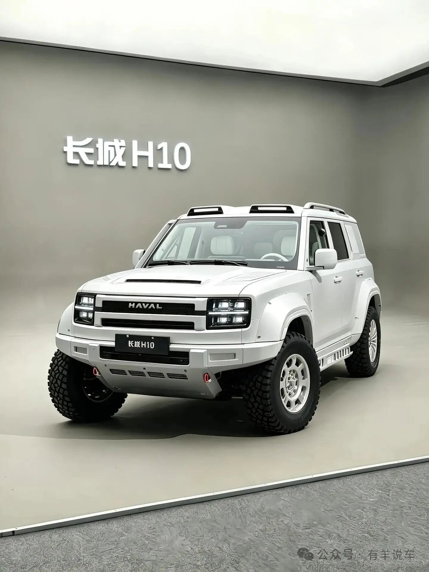 Great Wall H10 2