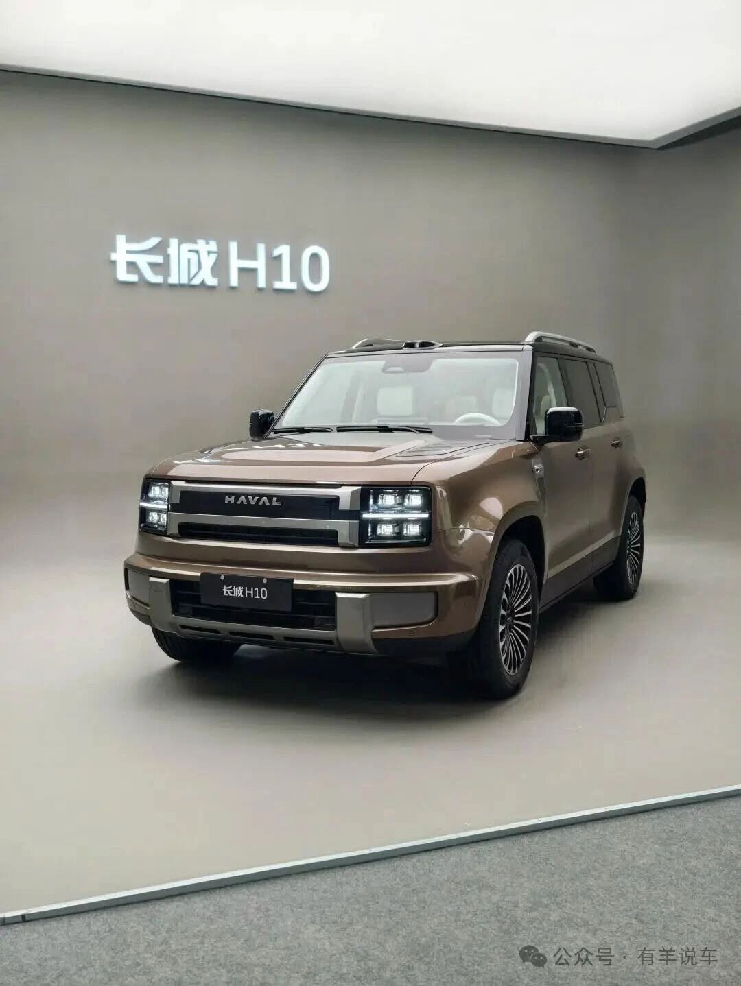 Great Wall H10 1